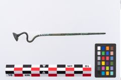 Foto von Bronzeschwanenhalsnadel (NHMW-PRAE-035776)